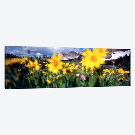 Cloudy Mountain Landscape Seen Through A Wildflower Field, Wyoming, USA Canvas Print #PIM606} by Panoramic Images Canvas Art Print