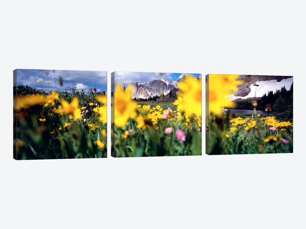 Cloudy Mountain Landscape Seen Through A Wildflower Field, Wyoming, USA by Panoramic Images 3-piece Canvas Wall Art