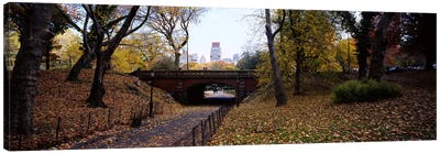 Driprock Arch, Central Park, Manhattan, New York City, New York, USA Canvas Art Print - Central Park