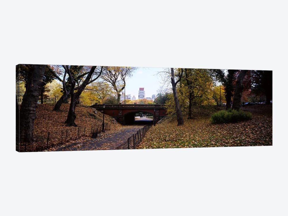 Driprock Arch, Central Park, Manhattan, New York City, New York, USA by Panoramic Images 1-piece Canvas Artwork