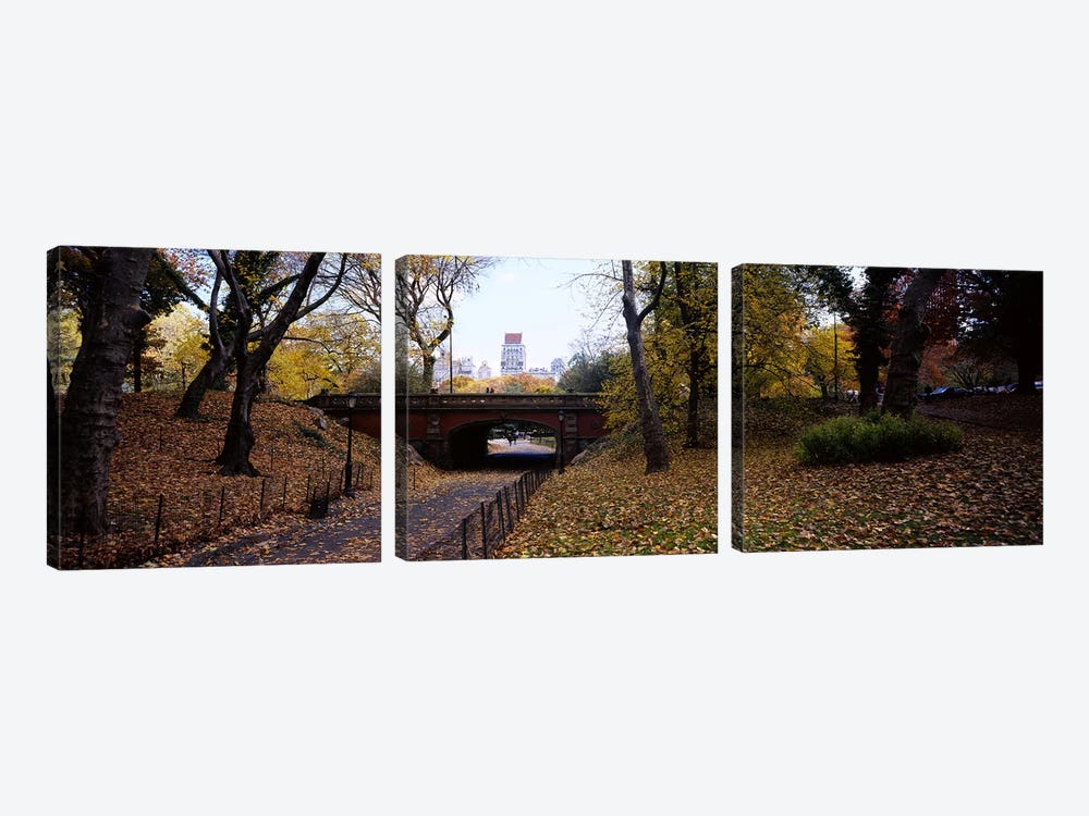 Driprock Arch, Central Park, Manhattan, New York City, New York, USA by Panoramic Images 3-piece Canvas Artwork