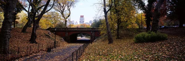 Central Park: Driprock Arch, Central Park, Manhattan, New York City, New York, USA by Panoramic Images