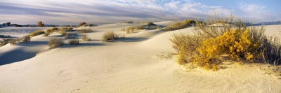 Cloudy Desert Landscape, White Sands National Monument, Tularosa Basin, New Mexico, USA by Panoramic Images canvas print