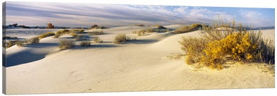 Cloudy Desert Landscape, White Sands National Monument, Tularosa Basin, New Mexico, USA Canvas Art Print - New Mexico Art