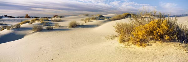 New Mexico: Cloudy Desert Landscape, White Sands National Monument, Tularosa Basin, New Mexico, USA by Panoramic Images