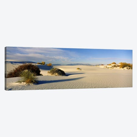 Desert Landscape, White Sands National Monument, Tularosa Basin, New Mexico, USA Canvas Print #PIM6098} by Panoramic Images Canvas Print