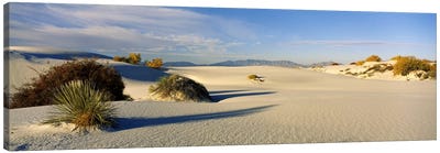 Desert Landscape, White Sands National Monument, Tularosa Basin, New Mexico, USA Canvas Art Print