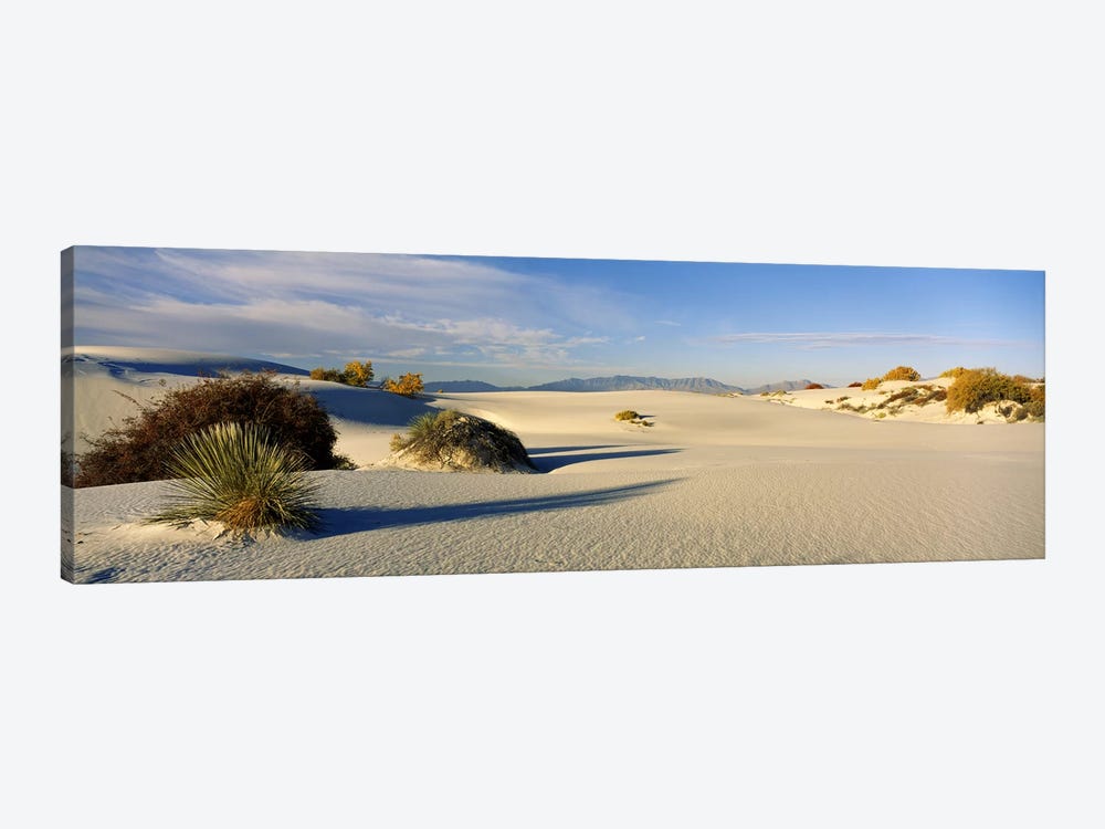 Desert Landscape, White Sands National Monument, Tularosa Basin, New Mexico, USA by Panoramic Images 1-piece Canvas Print