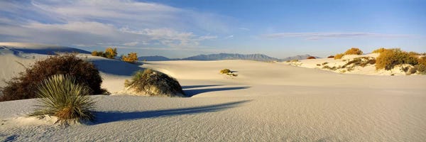 New Mexico: Desert Landscape, White Sands National Monument, Tularosa Basin, New Mexico, USA by Panoramic Images