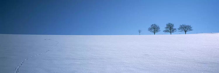 Footprints on a snow covered landscape, St. Peter, Black Forest, Germany