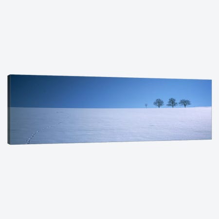 Footprints on a snow covered landscape, St. Peter, Black Forest, Germany Canvas Print #PIM6109} by Panoramic Images Canvas Art Print