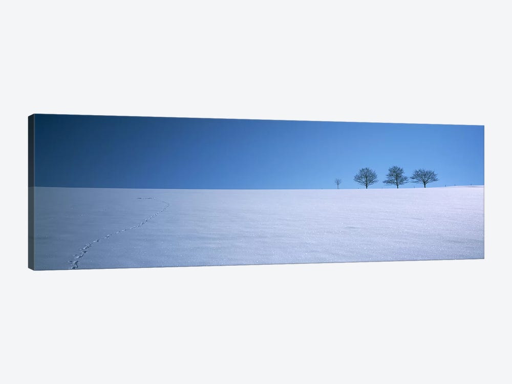 Footprints on a snow covered landscape, St. Peter, Black Forest, Germany by Panoramic Images 1-piece Canvas Wall Art