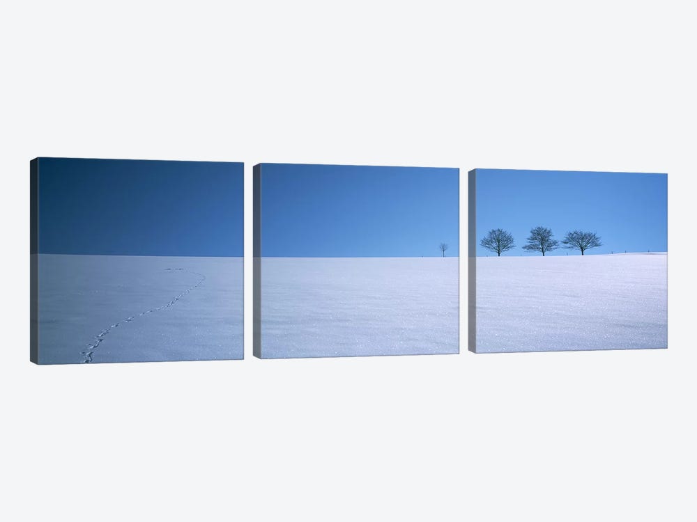 Footprints on a snow covered landscape, St. Peter, Black Forest, Germany by Panoramic Images 3-piece Canvas Artwork