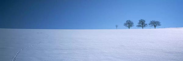 Footprints on a snow covered landscape, St. Peter, Black Forest, Germany