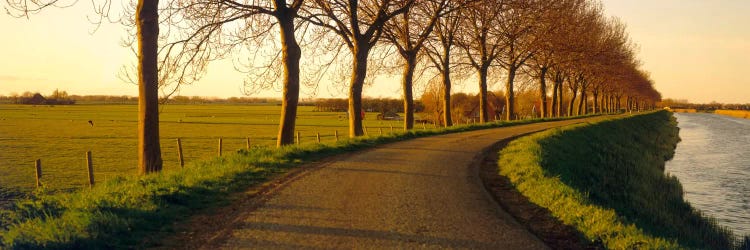 Tree-Lined Riverside Road, Noordbeemster, North Holland, Netherlands