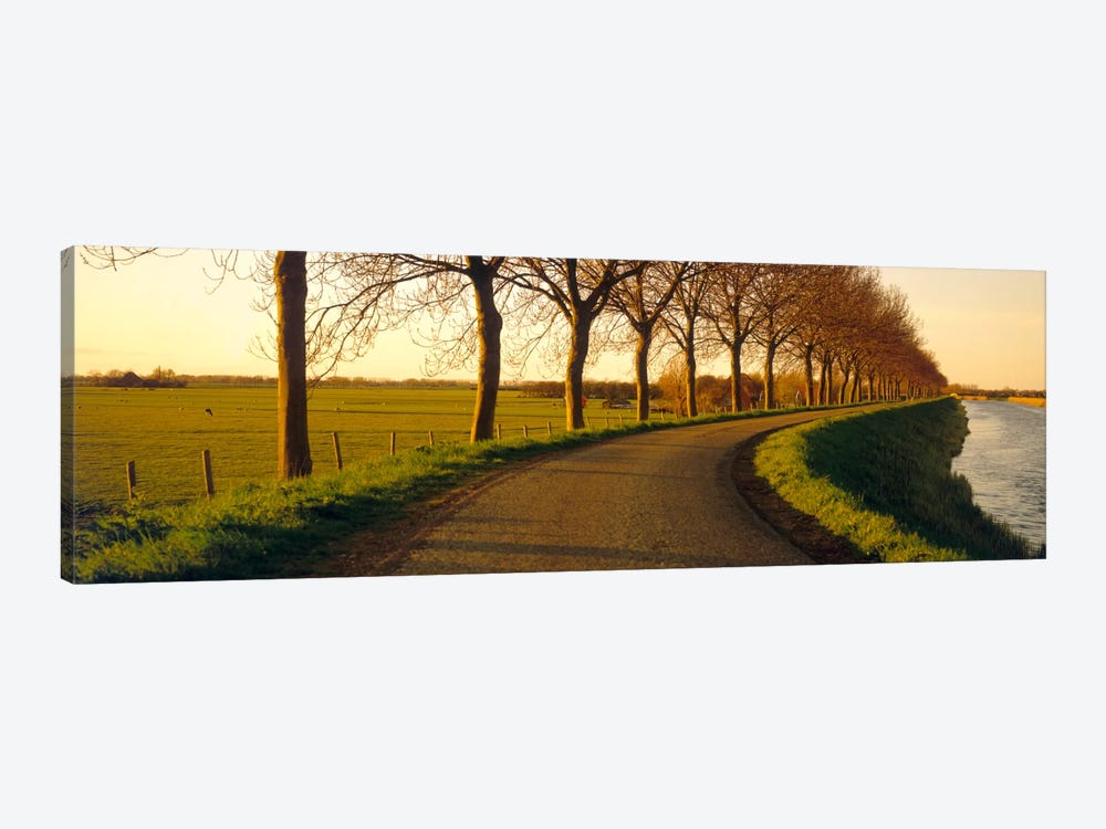 Tree-Lined Riverside Road, Noordbeemster, North Holland, Netherlands by Panoramic Images 1-piece Art Print