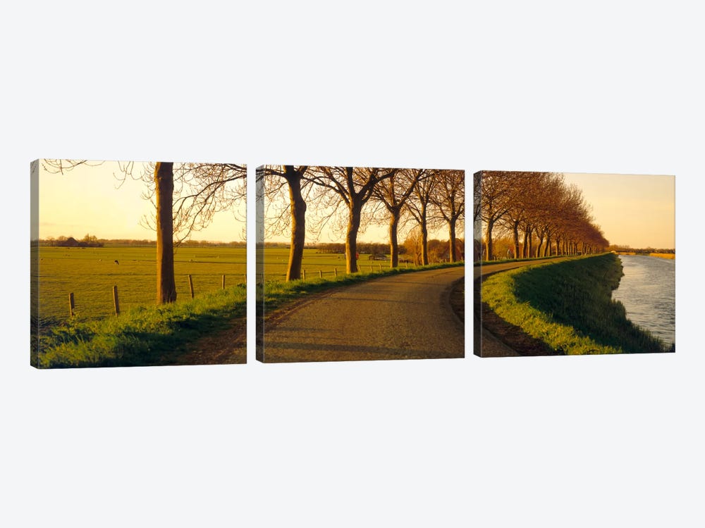 Tree-Lined Riverside Road, Noordbeemster, North Holland, Netherlands by Panoramic Images 3-piece Canvas Print