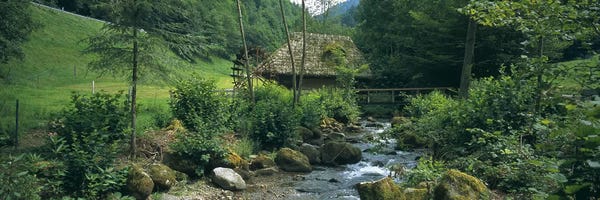 Watermill, Black Forest, Glottertal, Baden-Wurttemberg, Germany