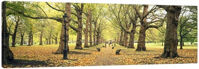 Green Park, City Of Westminster, London, England, United Kingdom Canvas Art Print - England Art