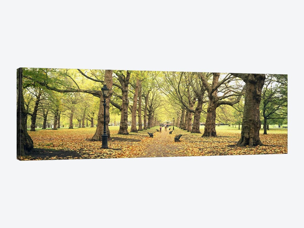 Green Park, City Of Westminster, London, England, United Kingdom by Panoramic Images 1-piece Canvas Art Print