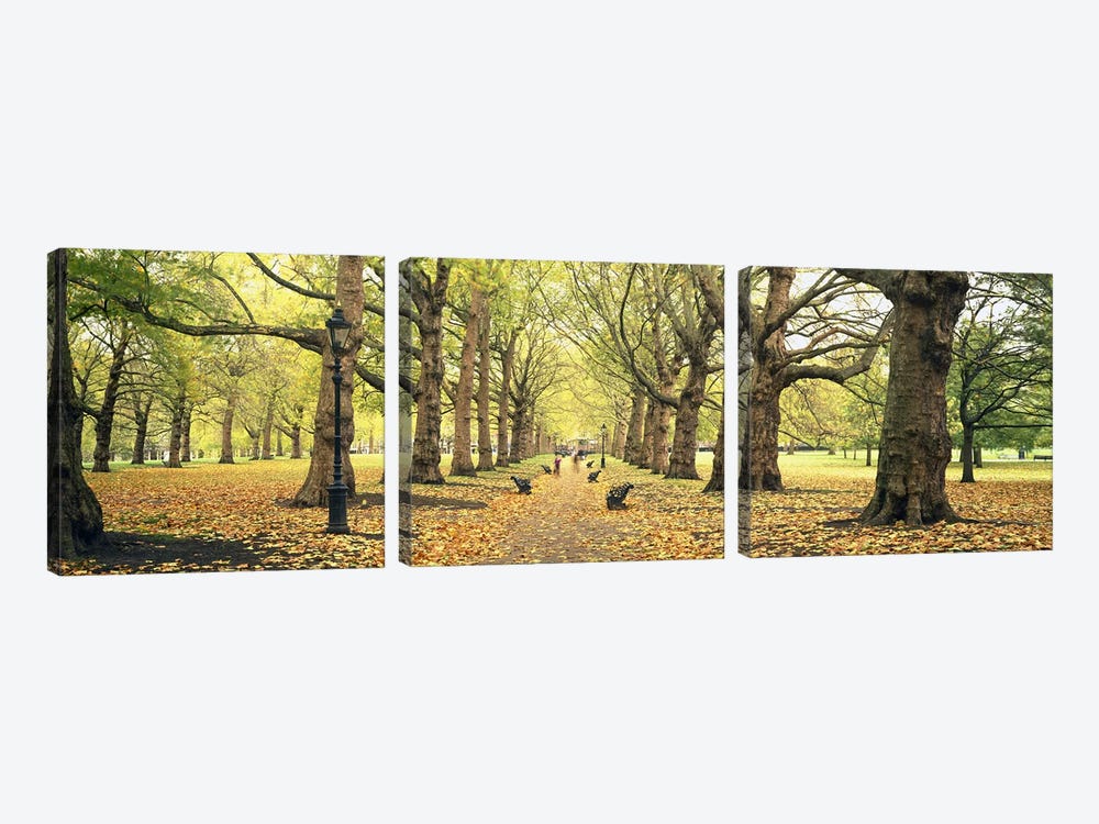 Green Park, City Of Westminster, London, England, United Kingdom by Panoramic Images 3-piece Canvas Art Print