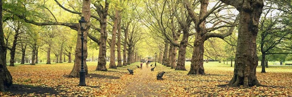 London: Green Park, City Of Westminster, London, England, United Kingdom by Panoramic Images