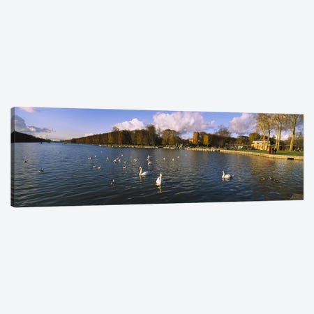 Flock of swans swimming in a lake, Chateau de Versailles, Versailles, Yvelines, France Canvas Print #PIM6187} by Panoramic Images Canvas Art