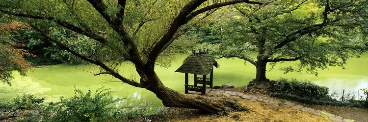 Rustic Gazebo, Wagner Cove, Central Park, New York City, New York, USA