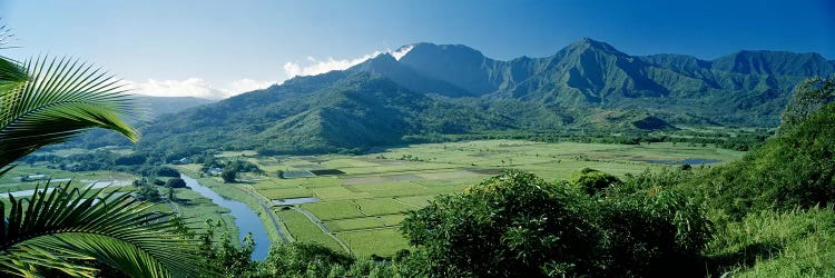 Hanalei Valley As Seen From The Lookout Near Princeville, Kauai, Hawaii, USA