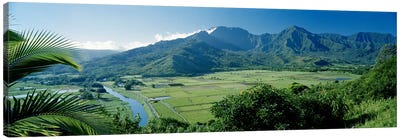 Hanalei Valley As Seen From The Lookout Near Princeville, Kauai, Hawaii, USA Canvas Art Print - Kauai