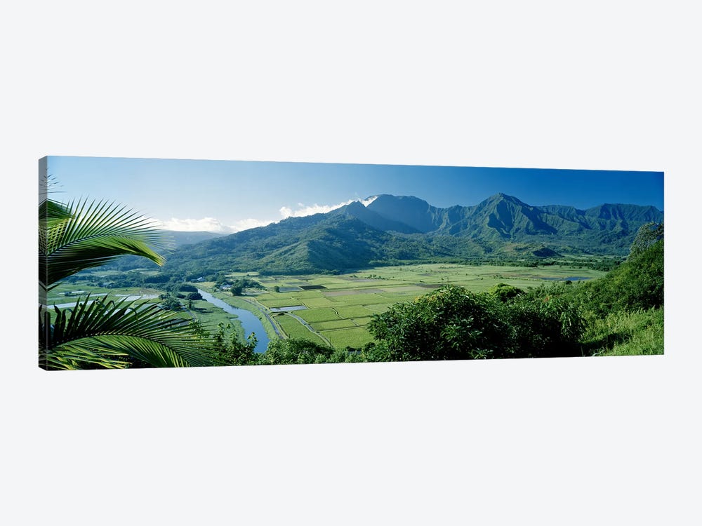 Hanalei Valley As Seen From The Lookout Near Princeville, Kauai, Hawaii, USA by Panoramic Images 1-piece Art Print