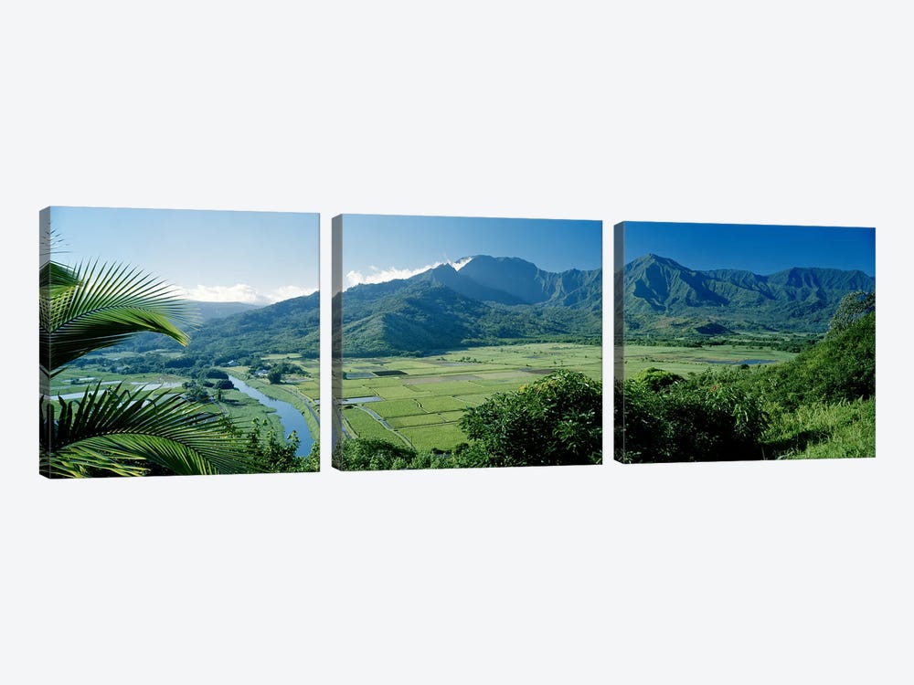 Hanalei Valley As Seen From The Lookout Near Princeville, Kauai, Hawaii, USA by Panoramic Images 3-piece Canvas Print