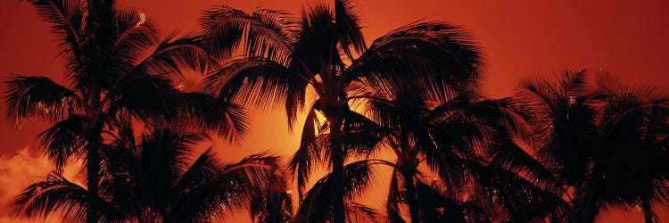 Orange Sunset, Kalapaki Beach, Kauai, Hawai'i, USA