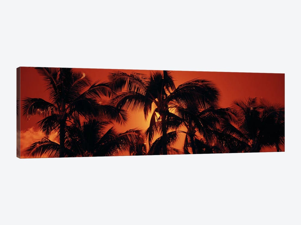 Orange Sunset, Kalapaki Beach, Kauai, Hawai'i, USA by Panoramic Images 1-piece Canvas Print