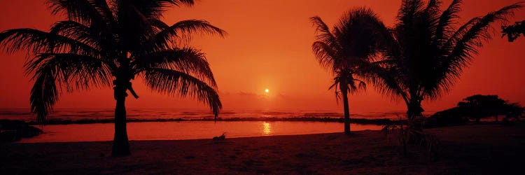 Silhouette of palm trees on the beach at duskLydgate Park, Kauai, Hawaii, USA