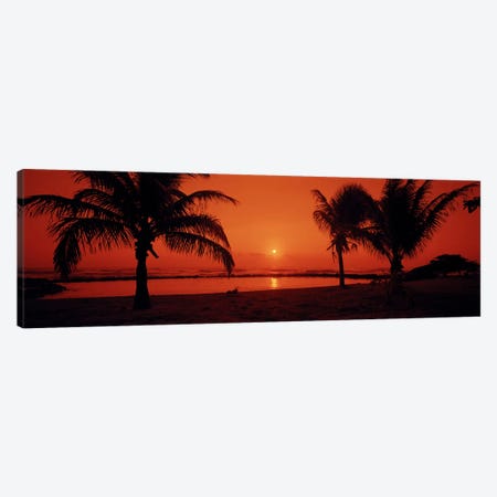 Silhouette of palm trees on the beach at duskLydgate Park, Kauai, Hawaii, USA Canvas Print #PIM6238} by Panoramic Images Art Print