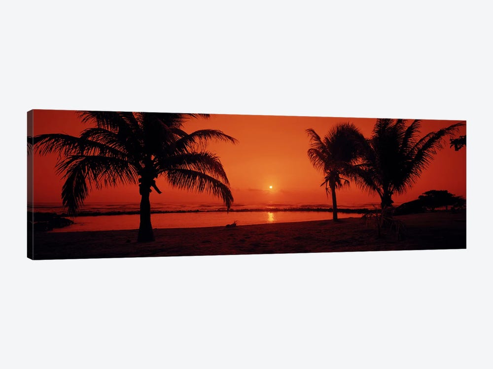 Silhouette of palm trees on the beach at duskLydgate Park, Kauai, Hawaii, USA by Panoramic Images 1-piece Canvas Wall Art