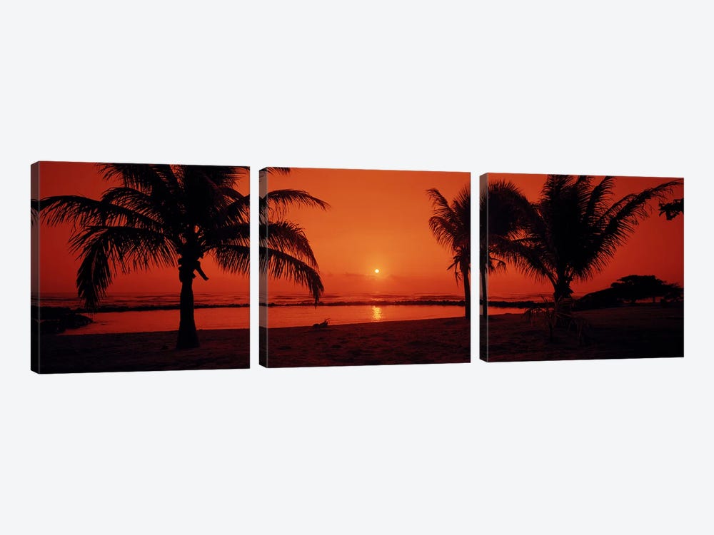 Silhouette of palm trees on the beach at duskLydgate Park, Kauai, Hawaii, USA by Panoramic Images 3-piece Canvas Wall Art