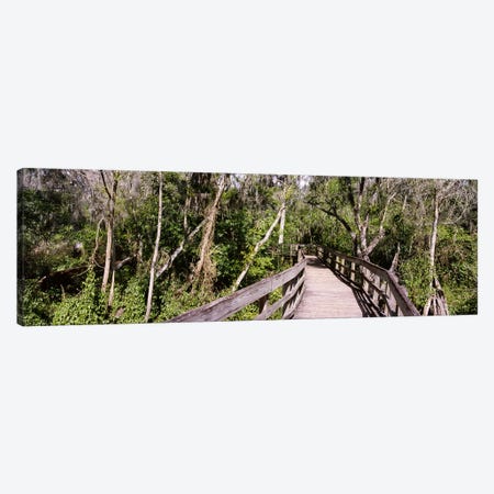 Boardwalk passing through a forestLettuce Lake Park, Tampa, Hillsborough County, Florida, USA Canvas Print #PIM6249} by Panoramic Images Canvas Wall Art
