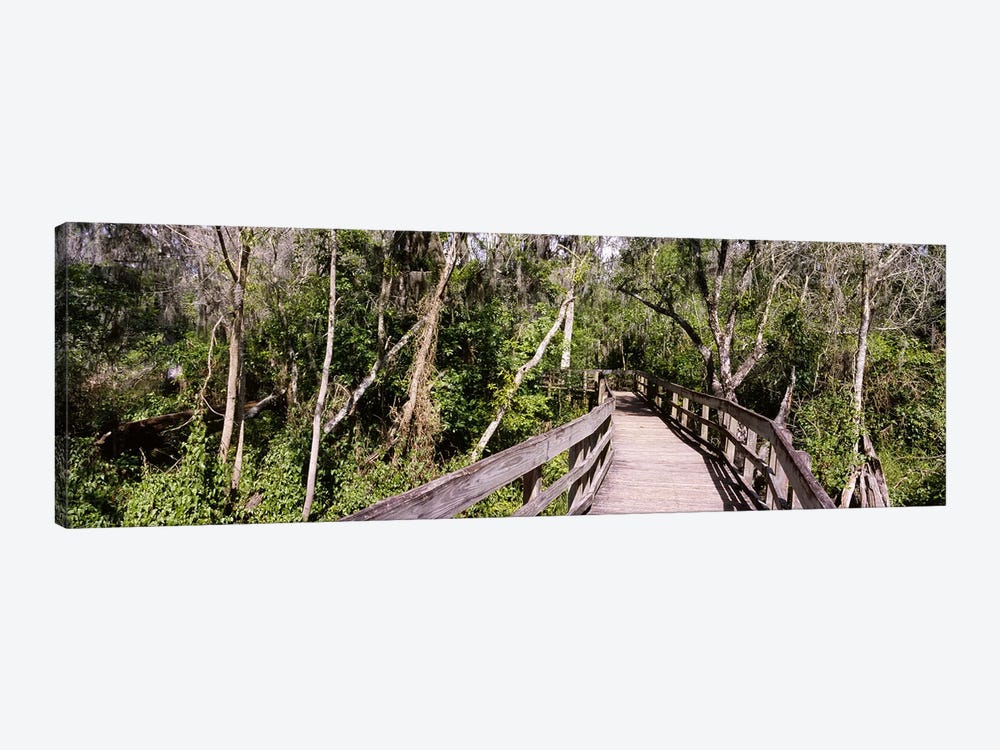 Boardwalk passing through a forestLettuce Lake Park, Tampa, Hillsborough County, Florida, USA by Panoramic Images 1-piece Canvas Wall Art
