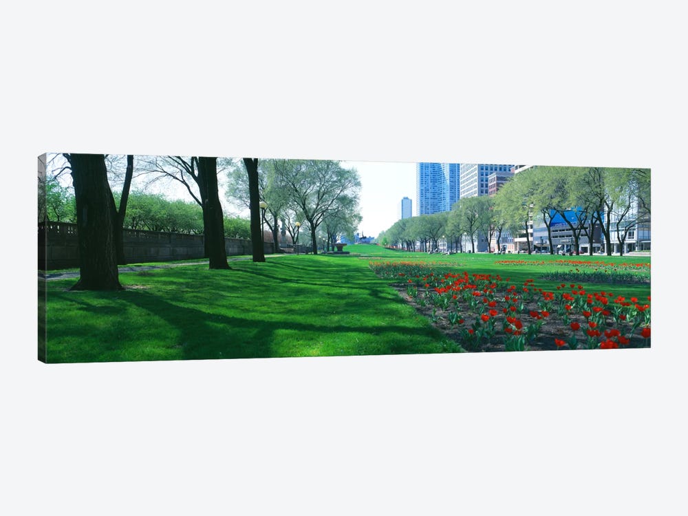 Public Gardens, Loop, Cityscape, Grant Park, Chicago, Illinois, USA by Panoramic Images 1-piece Canvas Print