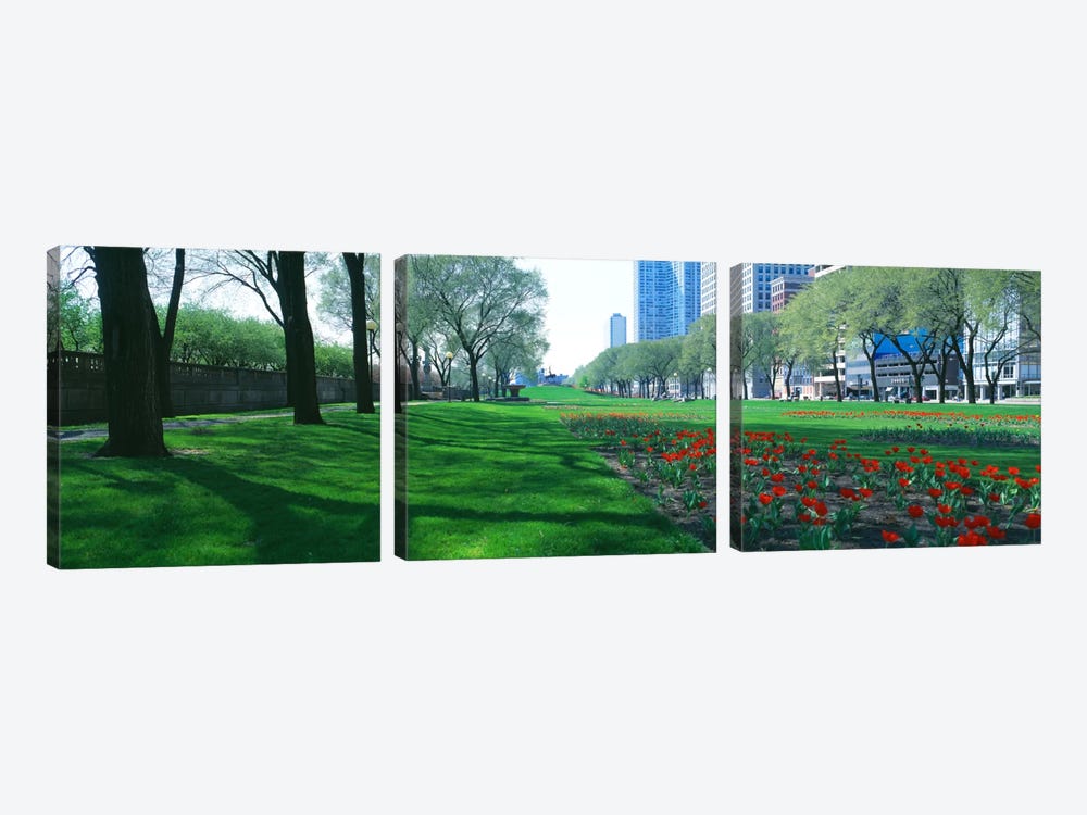 Public Gardens, Loop, Cityscape, Grant Park, Chicago, Illinois, USA by Panoramic Images 3-piece Art Print