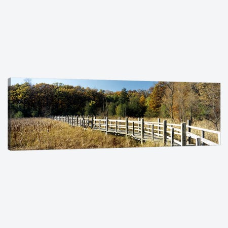 Boardwalk passing through a forestUniversity of Wisconsin Arboretum, Madison, Dane County, Wisconsin, USA Canvas Print #PIM6292} by Panoramic Images Art Print