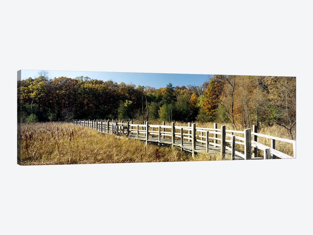 Boardwalk passing through a forestUniversity of Wisconsin Arboretum, Madison, Dane County, Wisconsin, USA by Panoramic Images 1-piece Canvas Artwork