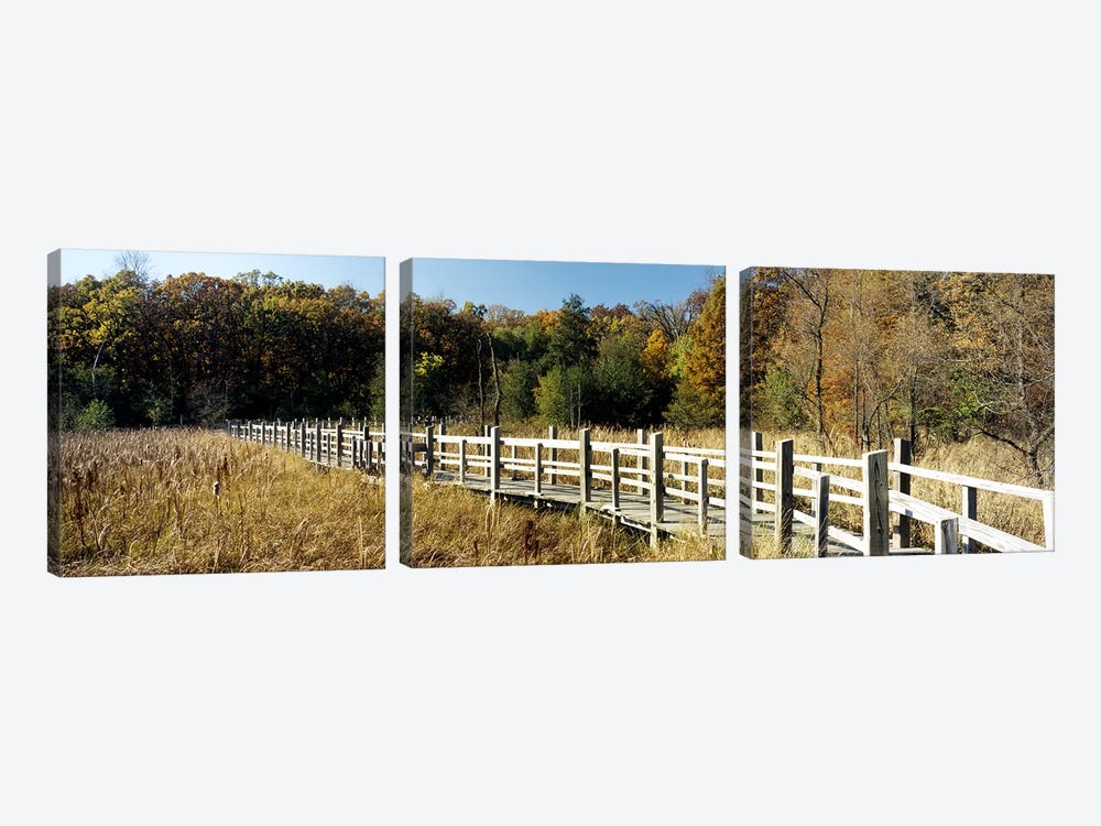 Boardwalk passing through a forestUniversity of Wisconsin Arboretum, Madison, Dane County, Wisconsin, USA by Panoramic Images 3-piece Canvas Artwork