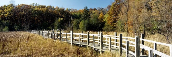 Wisconsin: Boardwalk passing through a forestUniversity of Wisconsin Arboretum, Madison, Dane County, Wisconsin, USA by Panoramic Images