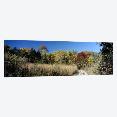 Dirt road passing through a forest, University of Wisconsin Arboretum, Madison, Dane County, Wisconsin, USA Canvas Print #PIM6298} by Panoramic Images Canvas Print