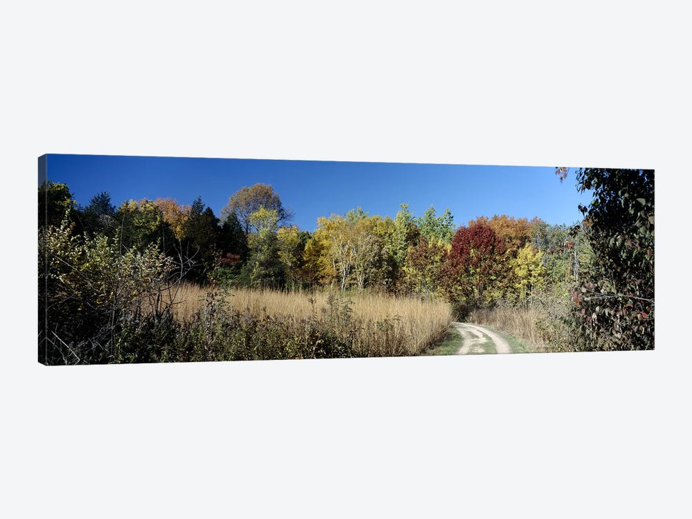 Dirt road passing through a forest, University of Wisconsin Arboretum, Madison, Dane County, Wisconsin, USA by Panoramic Images 1-piece Canvas Wall Art