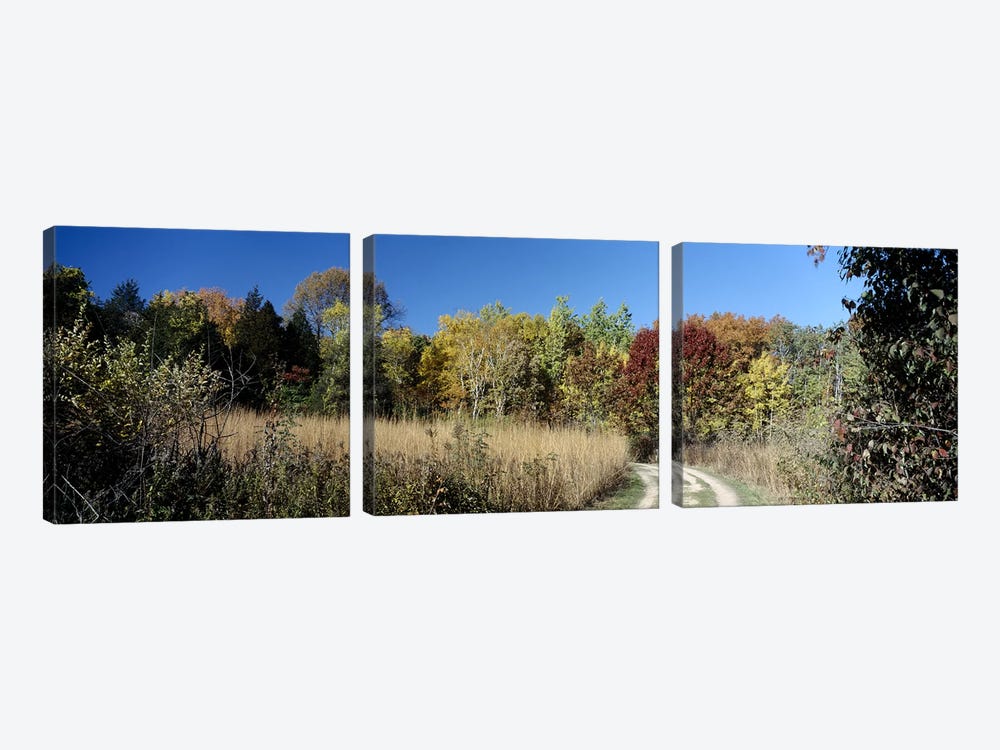 Dirt road passing through a forest, University of Wisconsin Arboretum, Madison, Dane County, Wisconsin, USA by Panoramic Images 3-piece Canvas Artwork