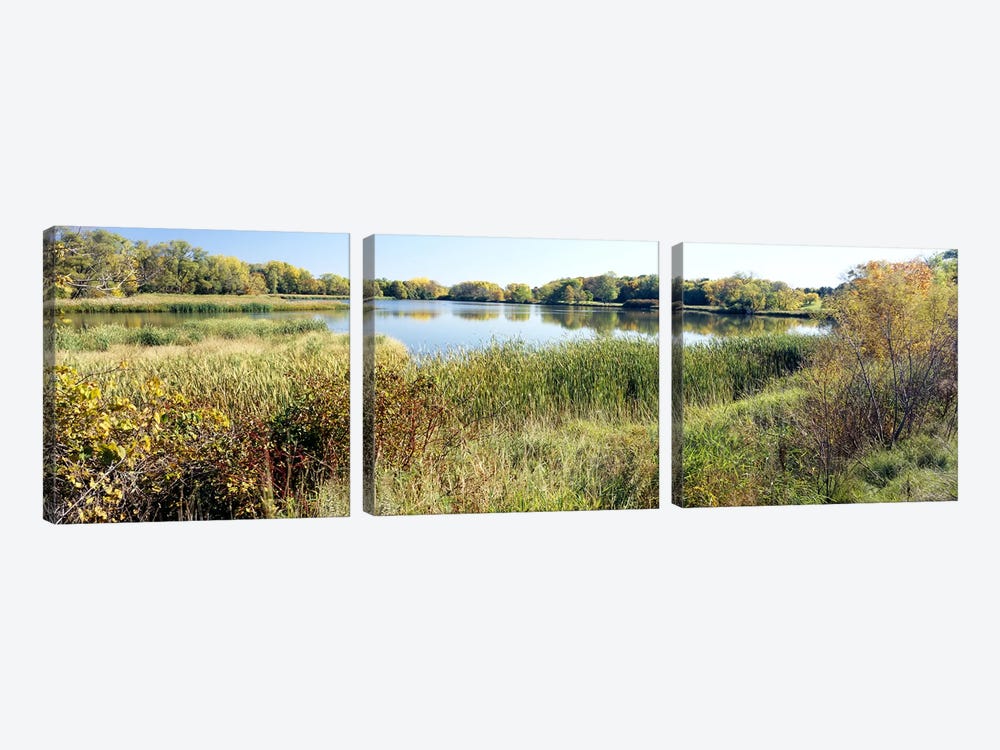Reflection of trees in water, Odana Hills Golf Course, Madison, Dane County, Wisconsin, USA by Panoramic Images 3-piece Canvas Print